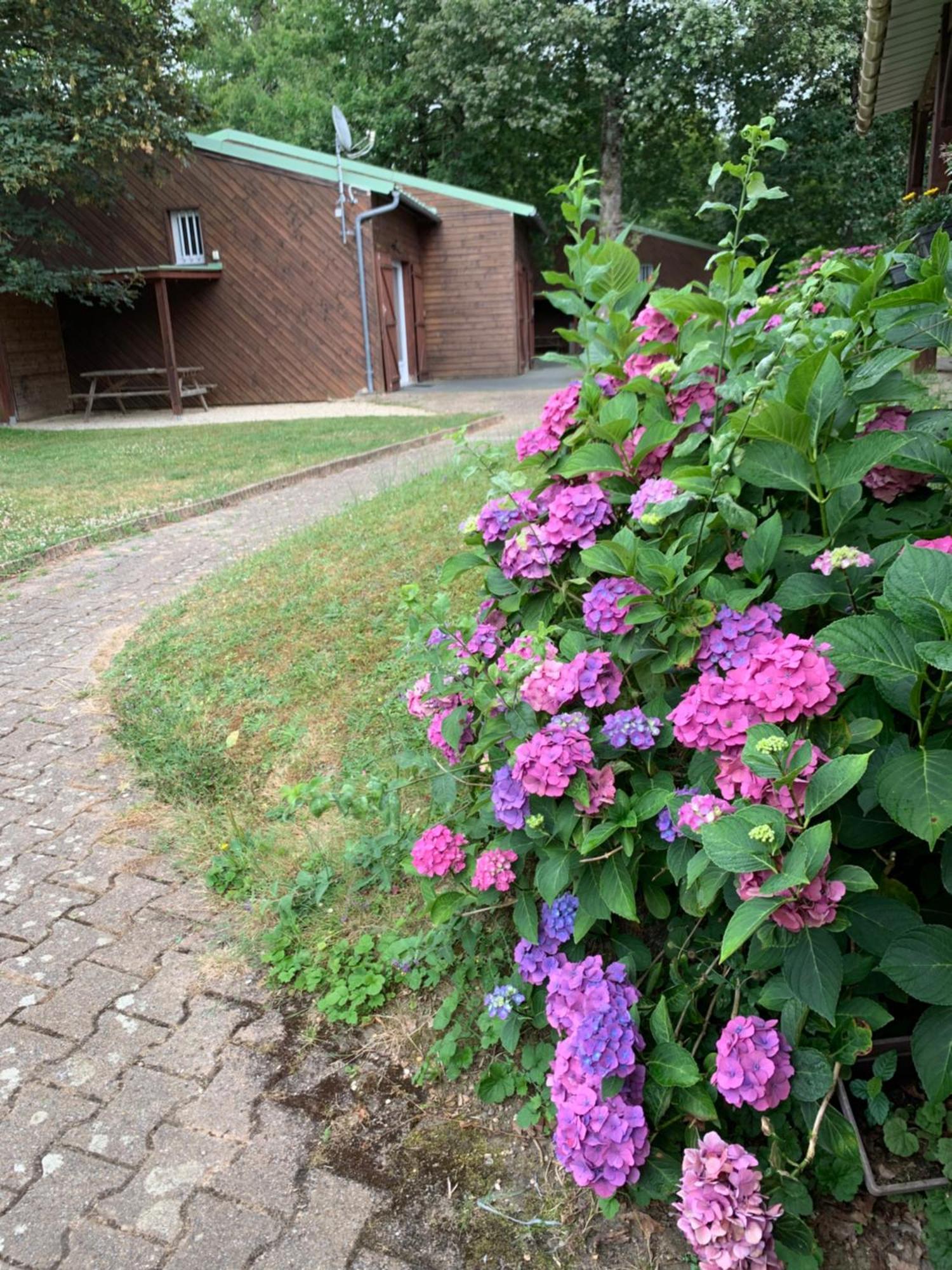 Chalets Mouliere Evasion Montamise Exterior photo